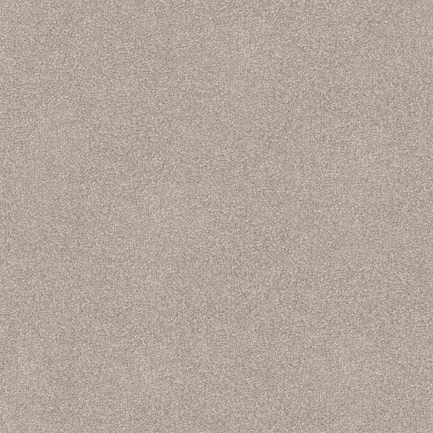 Nightfall carpet in Calico
