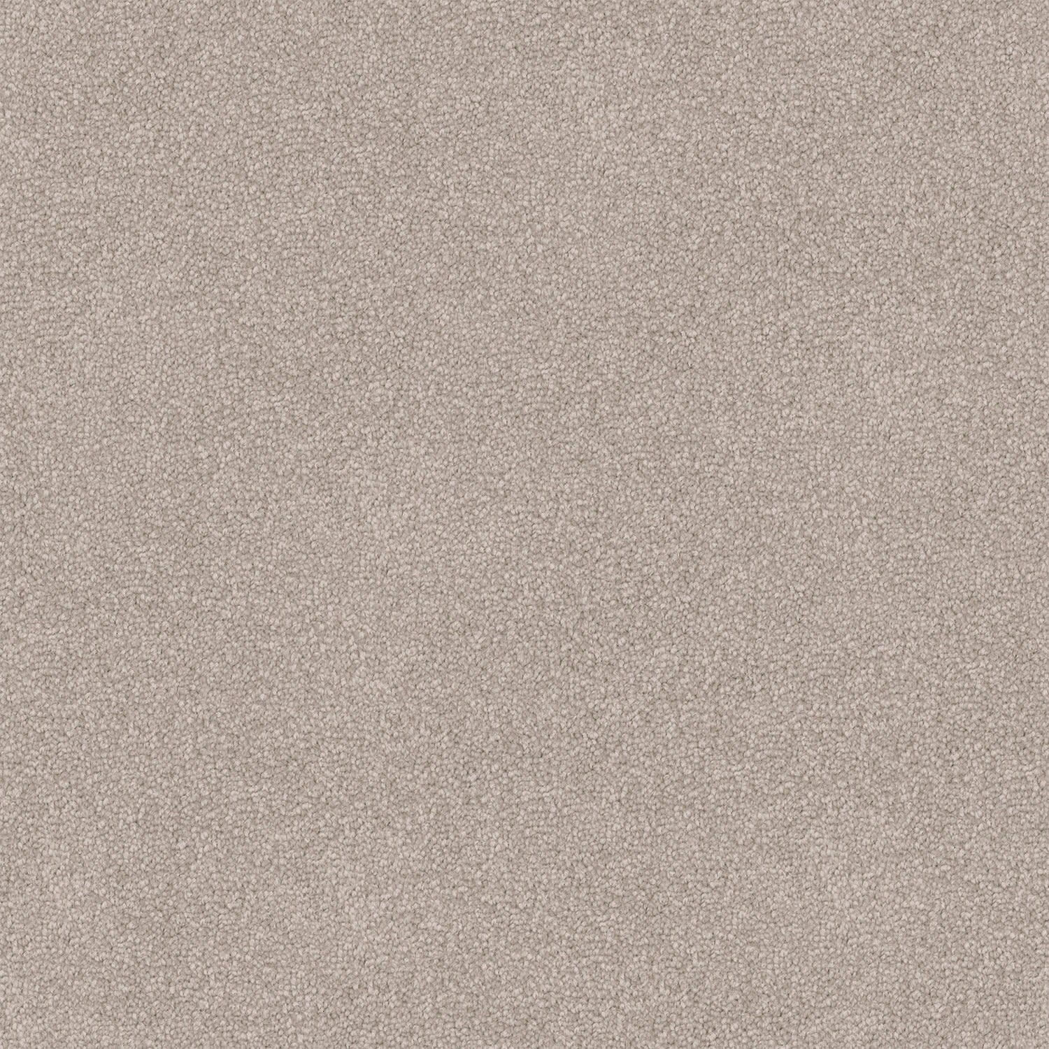 Nightfall carpet in Calico