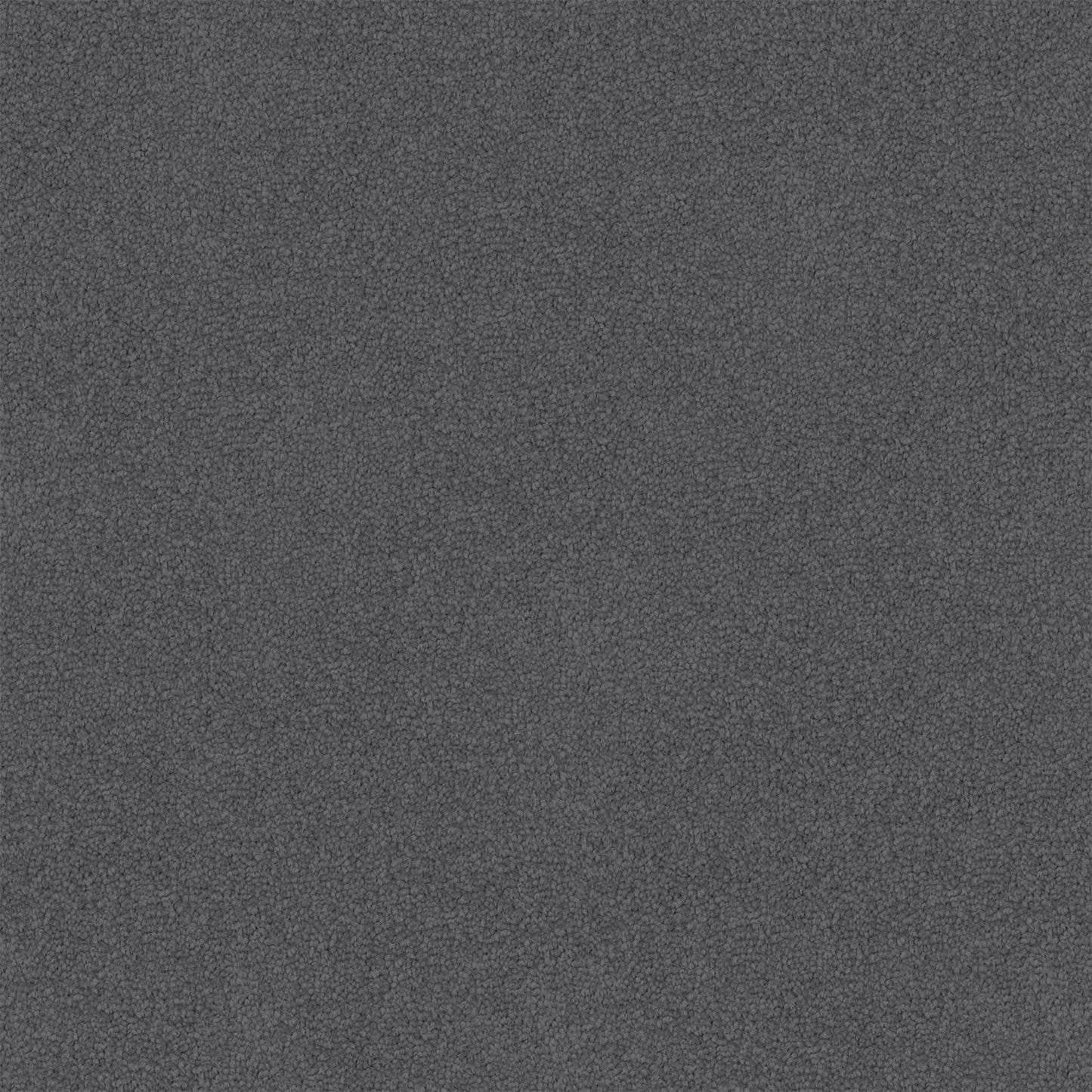 Entertaining carpet in Meteor Grey