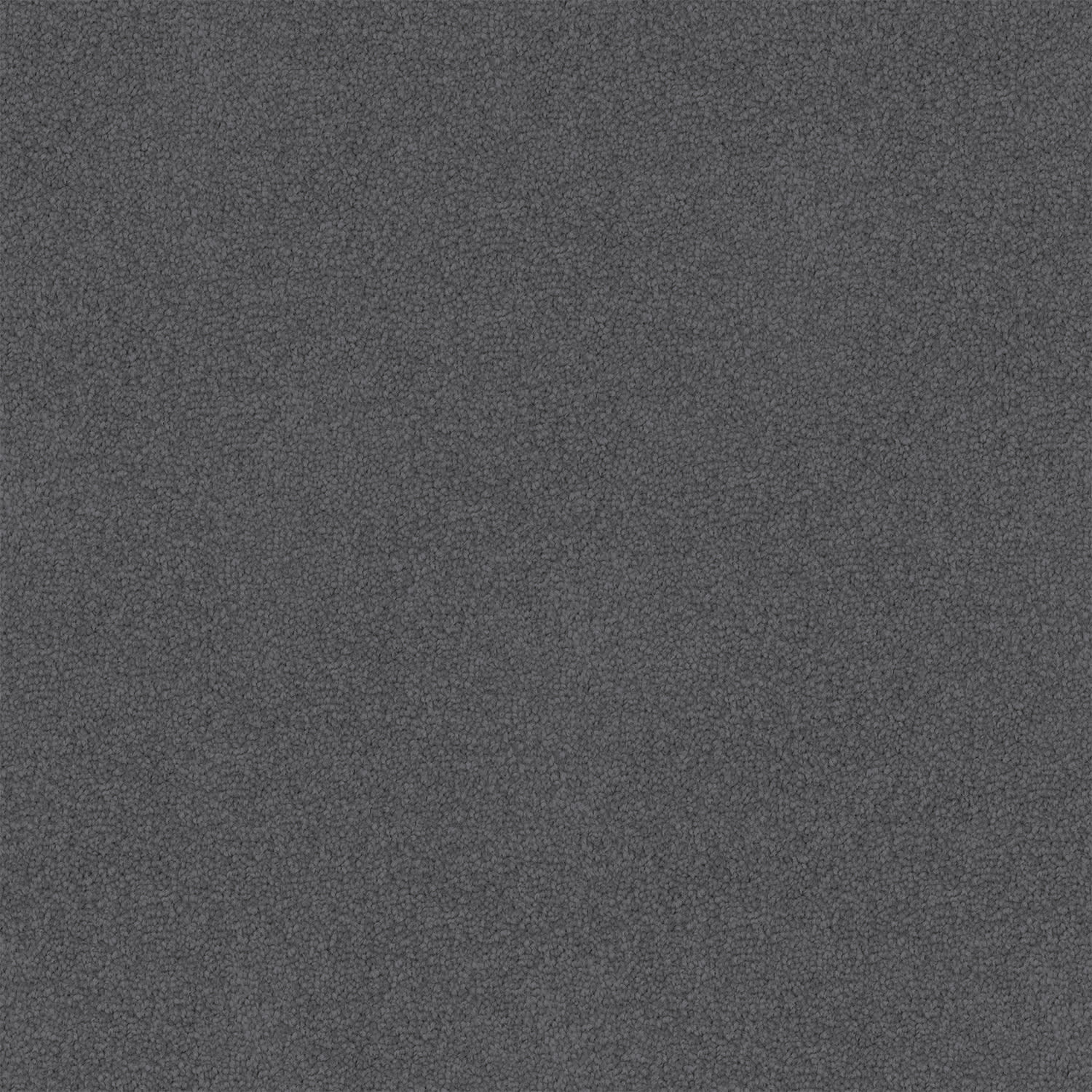 Entertaining carpet in Meteor Grey