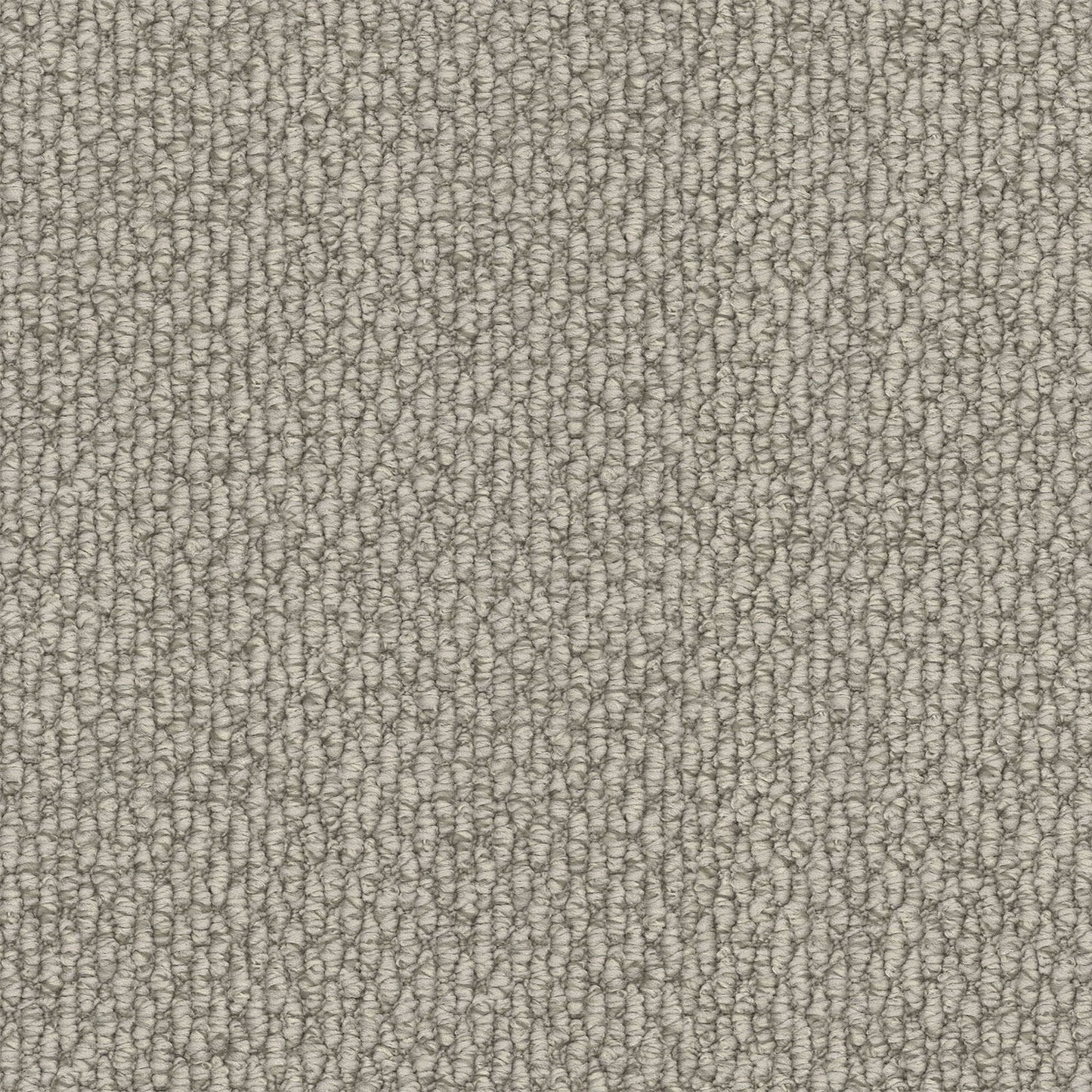 Central Valley carpet in Bone