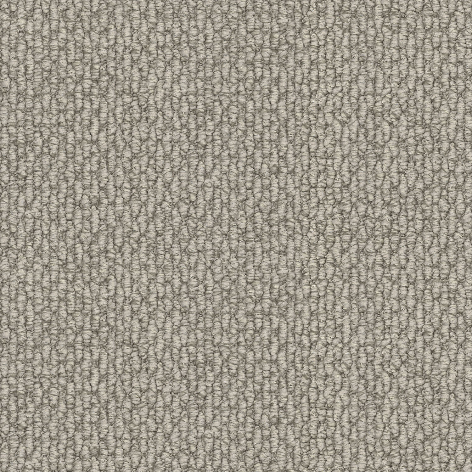 Central Valley carpet in Bone