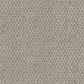 Central Valley carpet in Bone