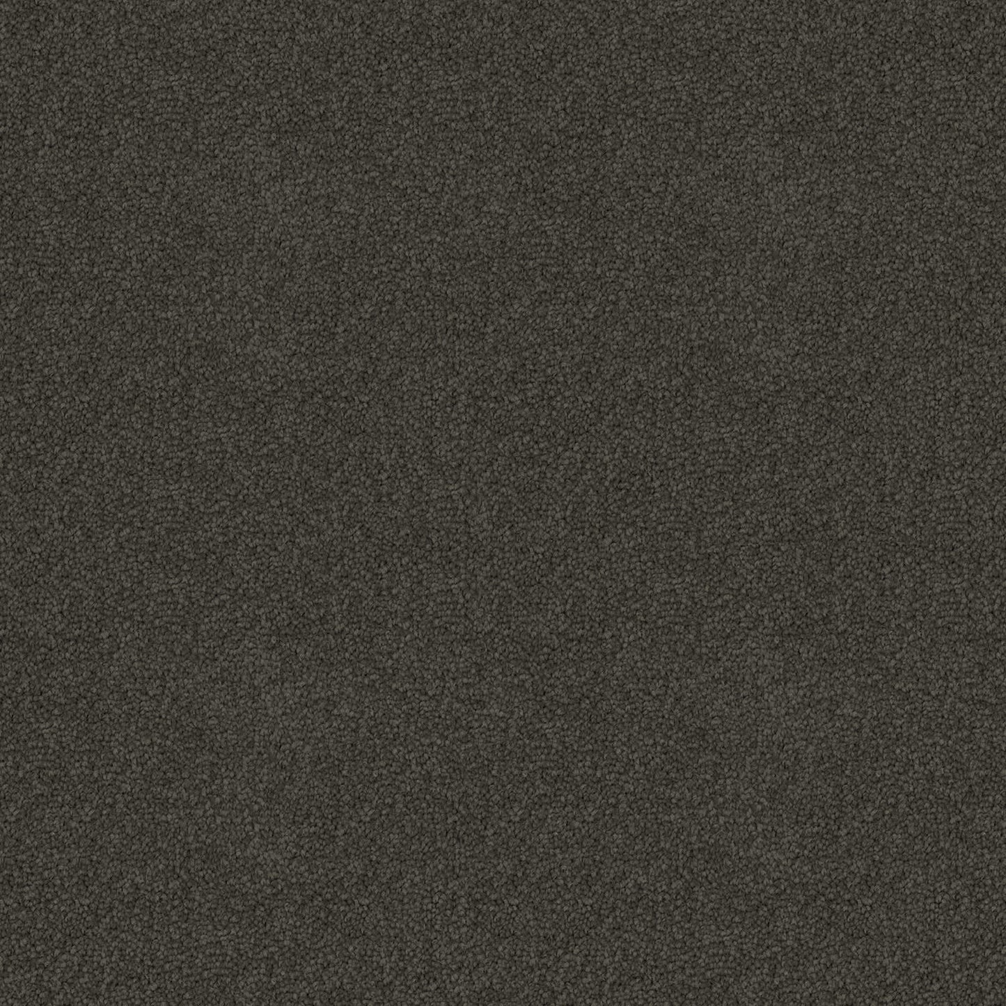 Crestview carpet in Dark Moss