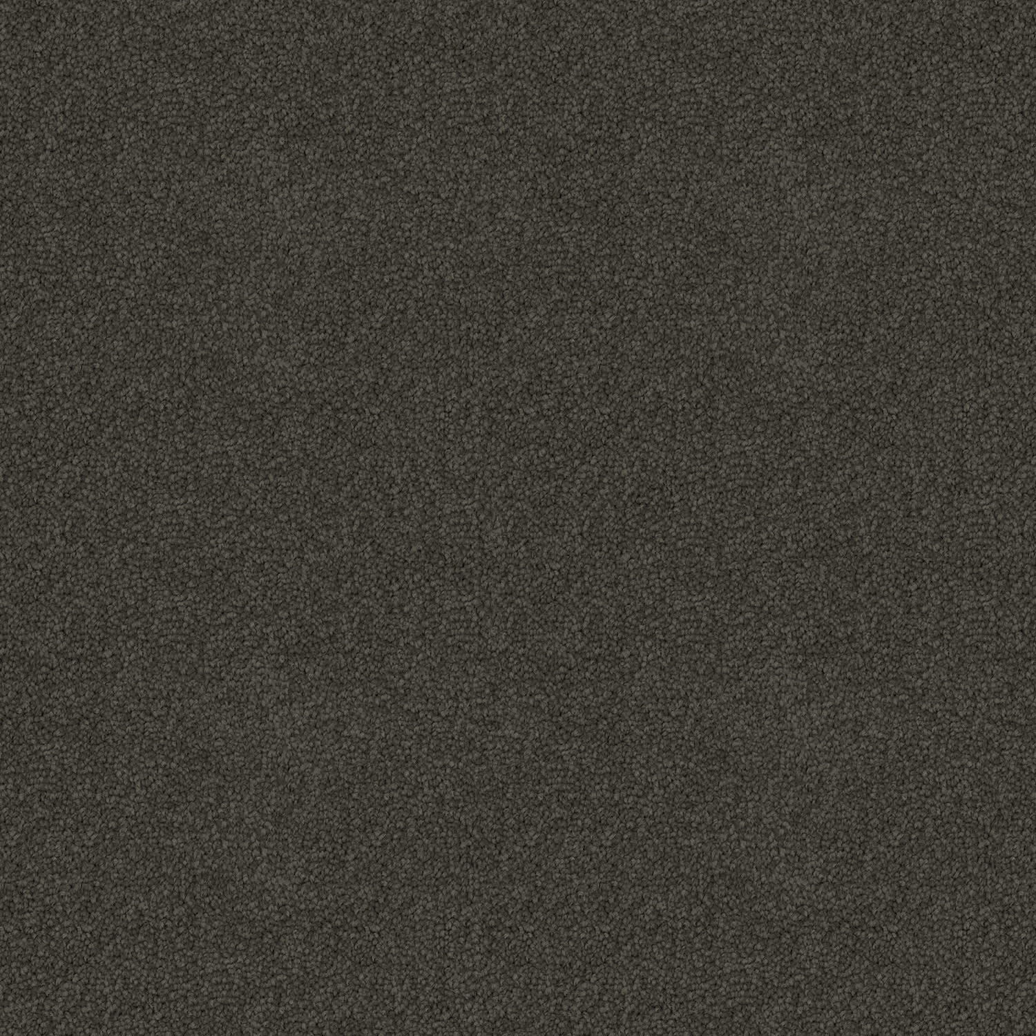 Crestview carpet in Dark Moss