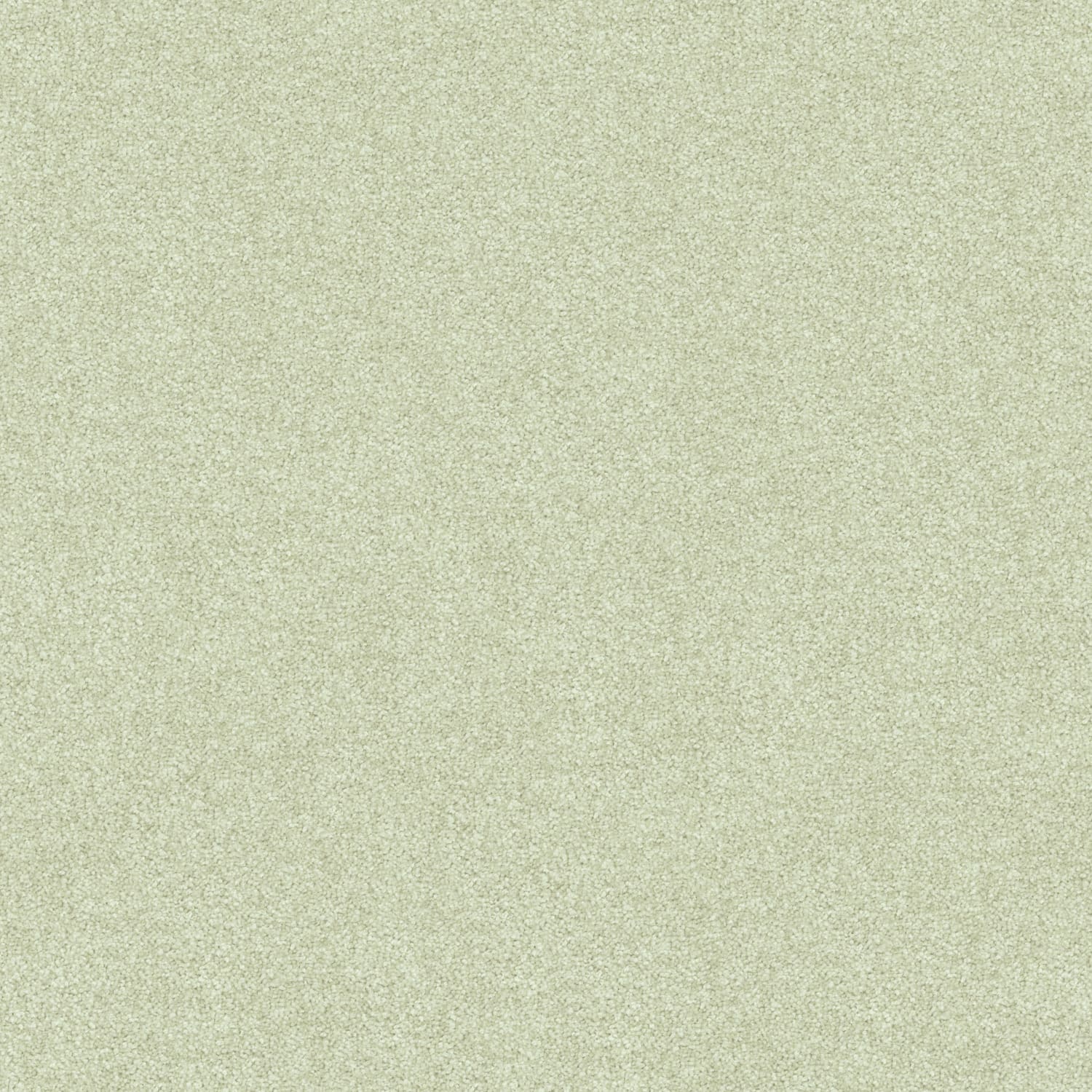 Freedom carpet in Crisp Green