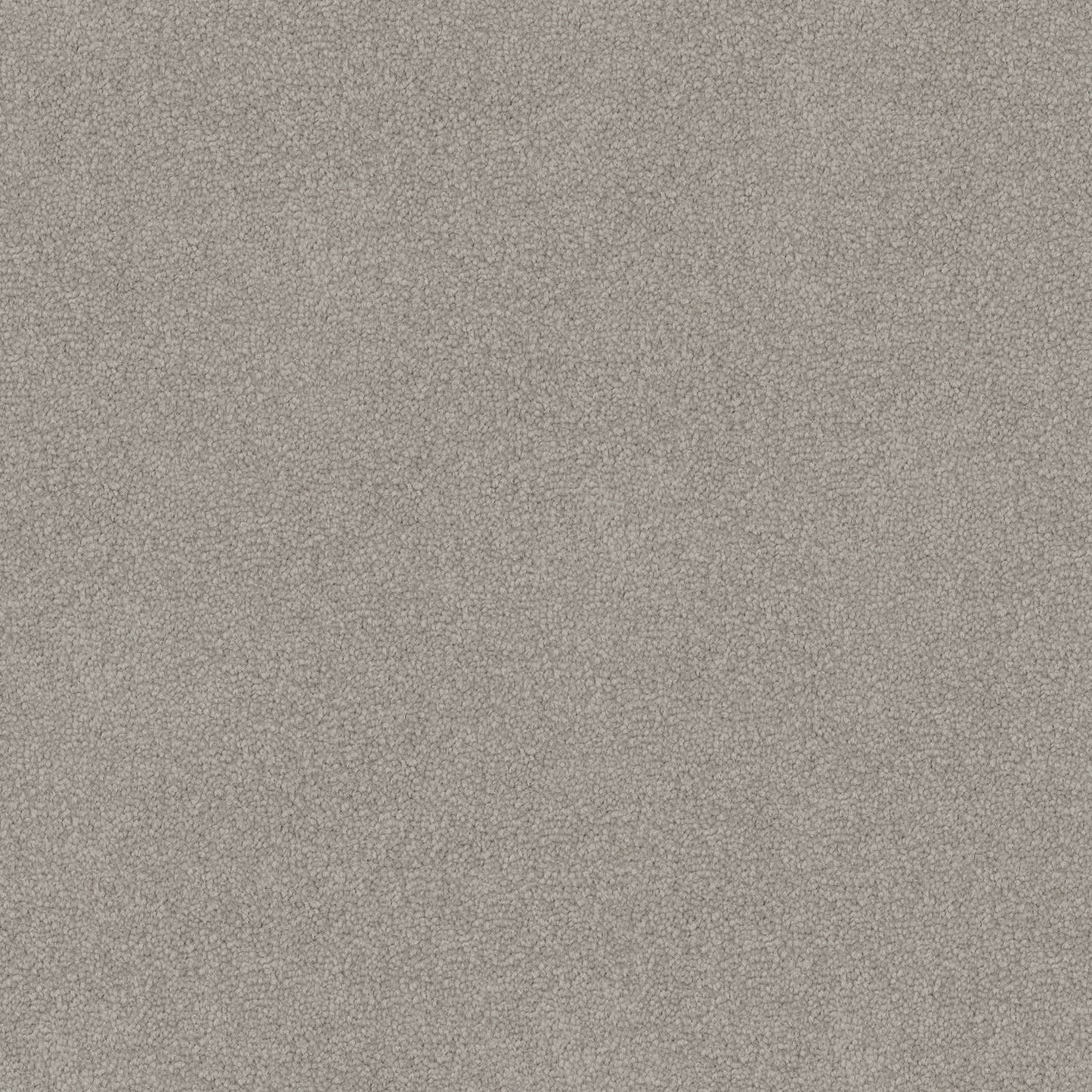 Infatuation carpet in River Gum