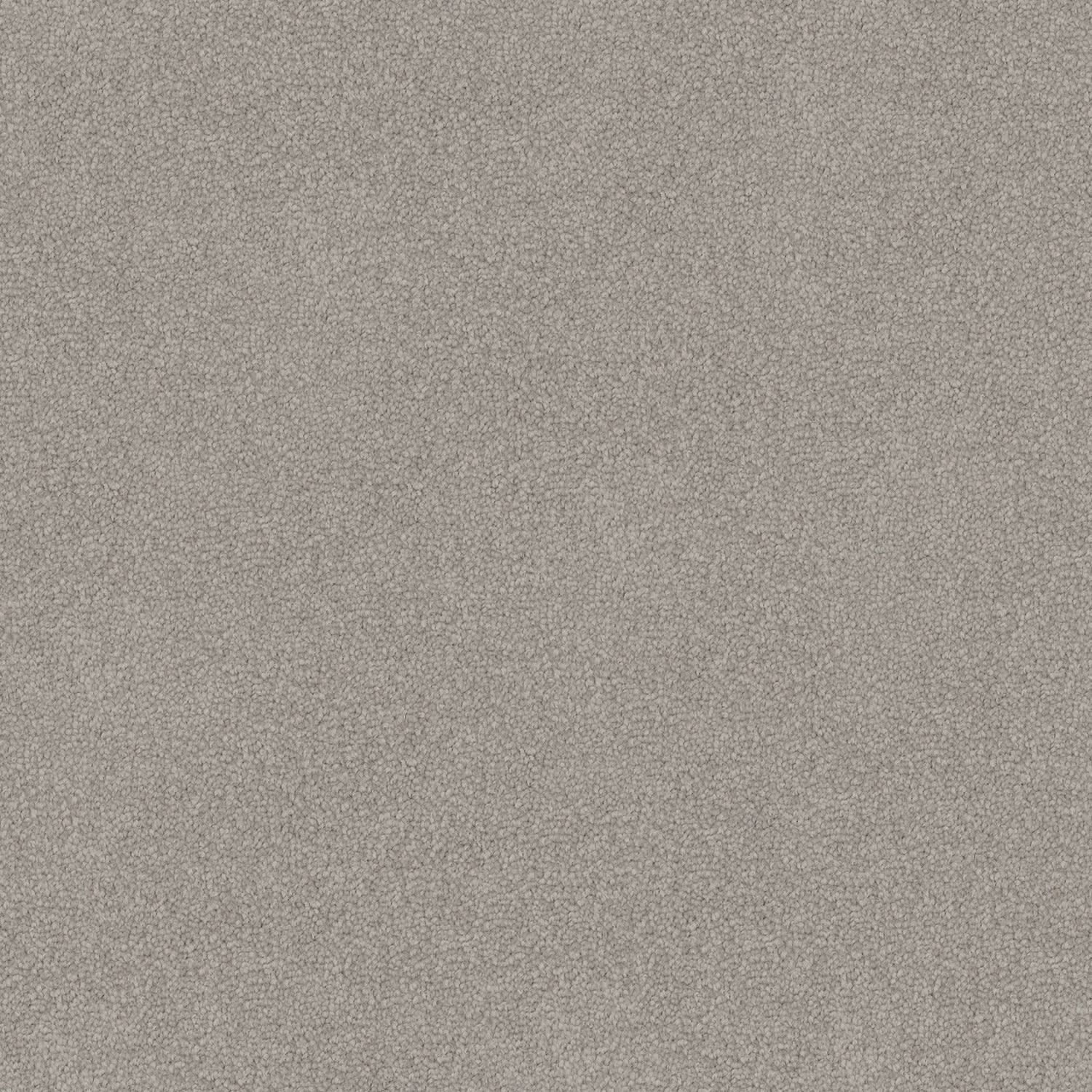 Infatuation carpet in River Gum
