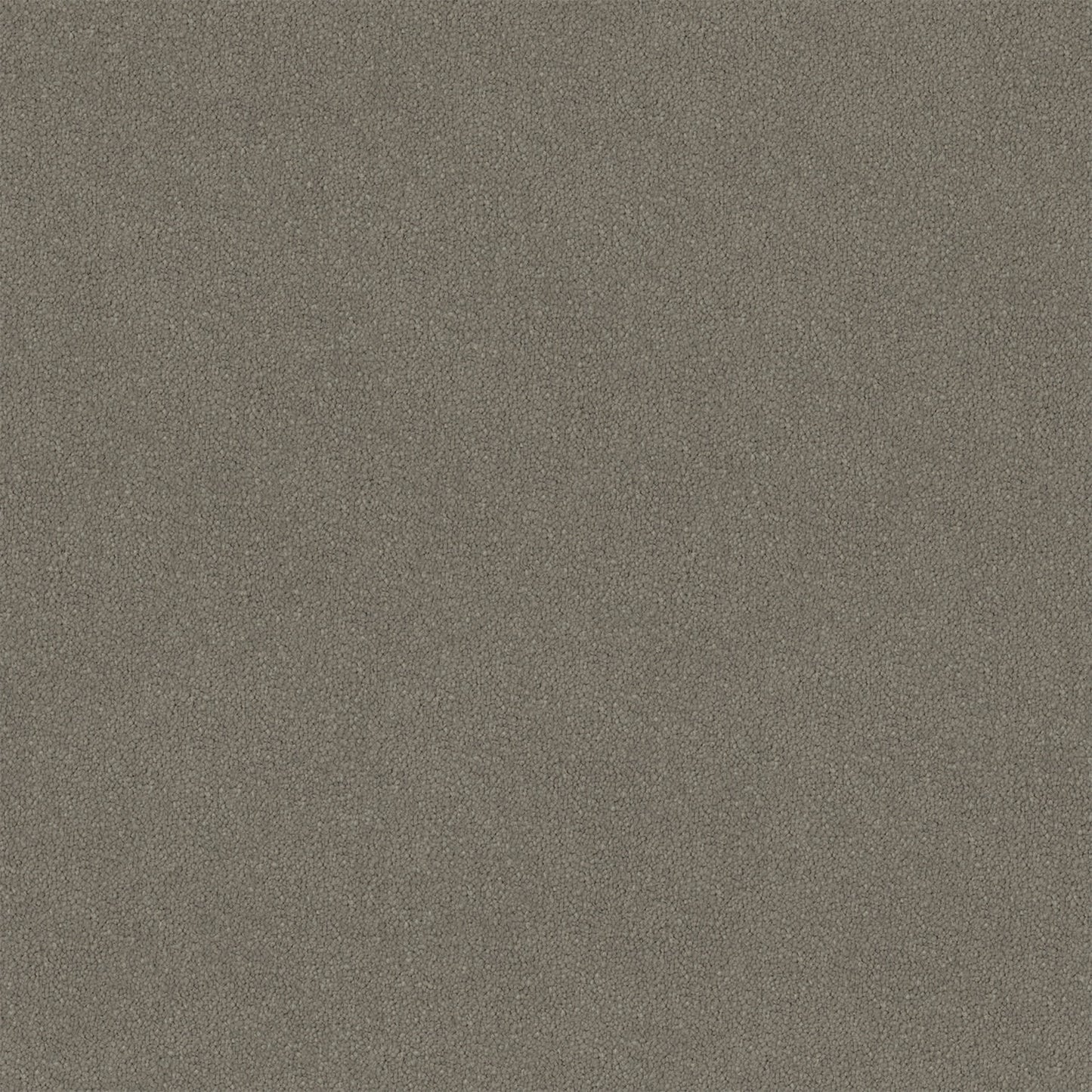 Knights Ridge carpet in Gawain