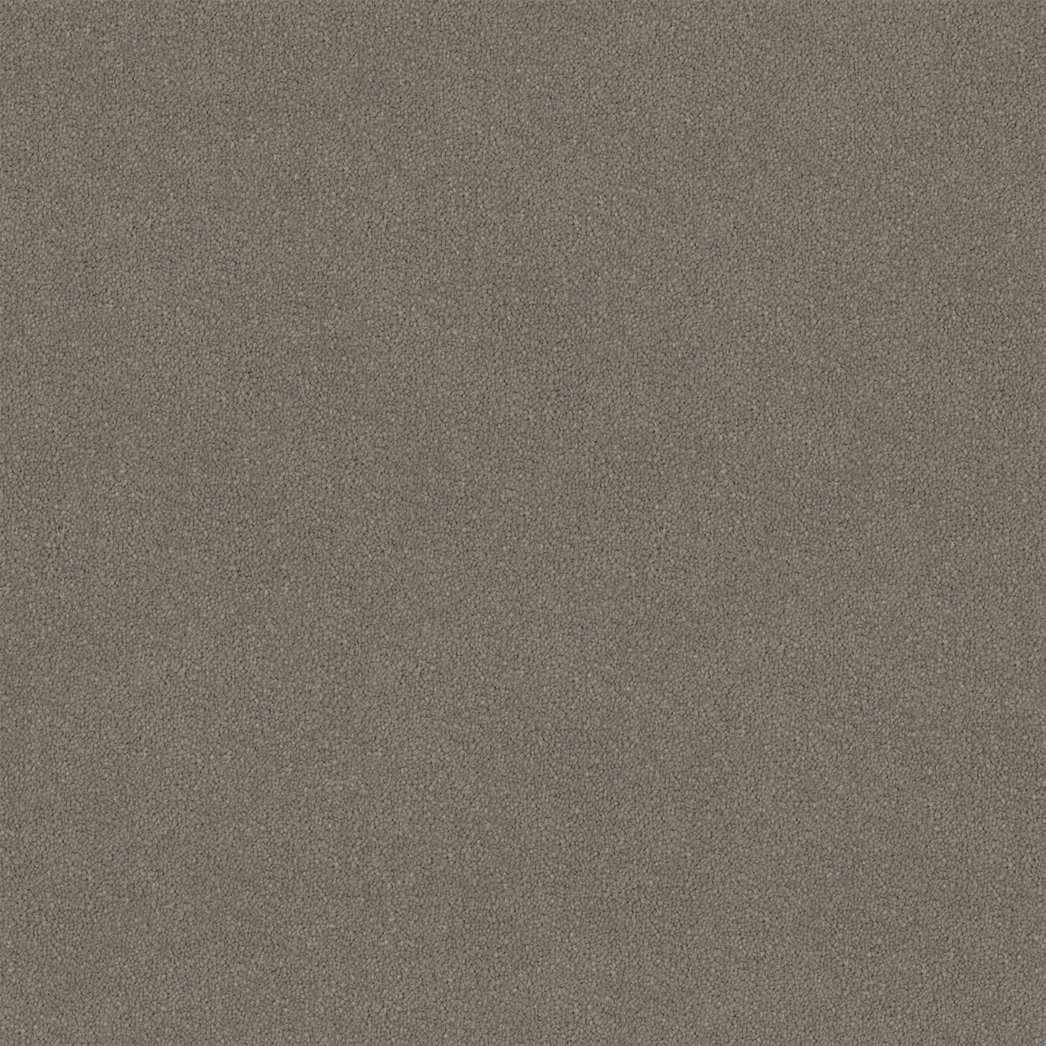 Knights Ridge carpet in Gawain