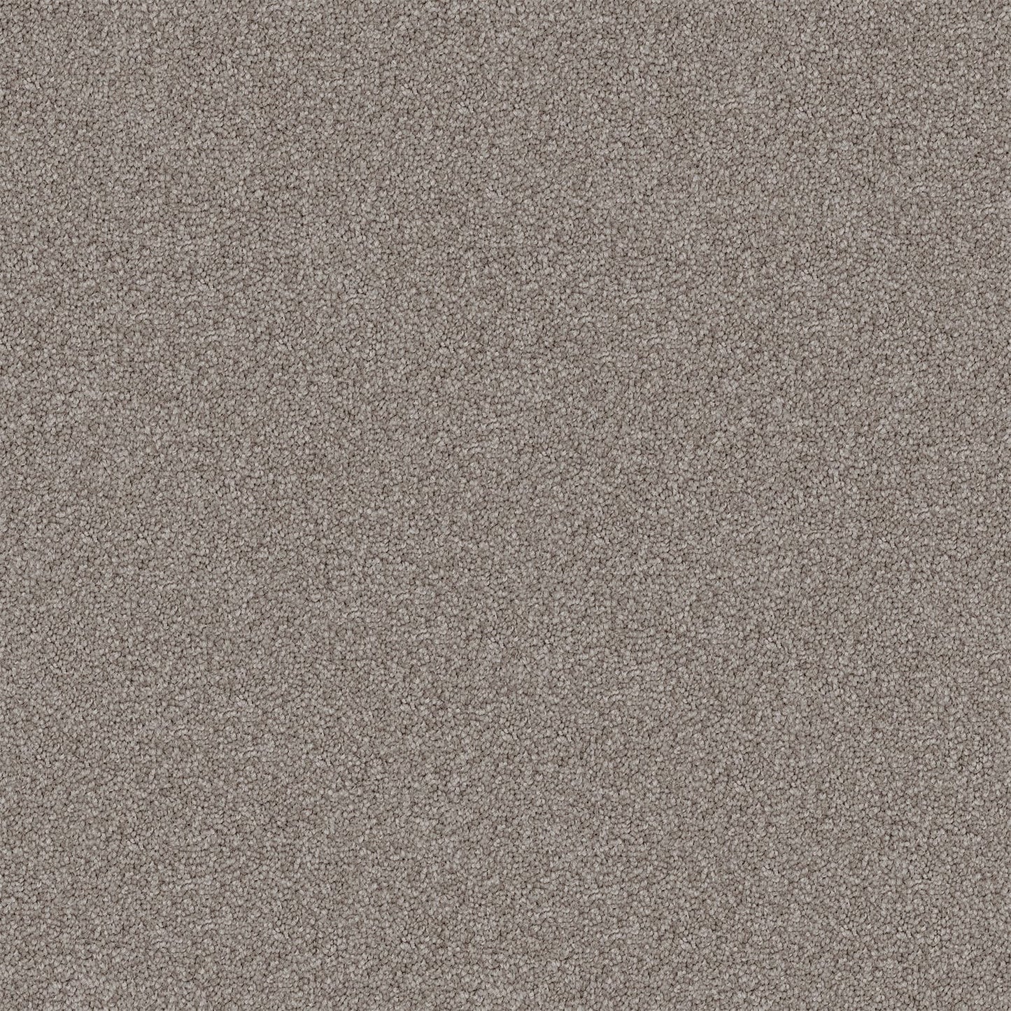 Endless Charm carpet in Studio Stipple