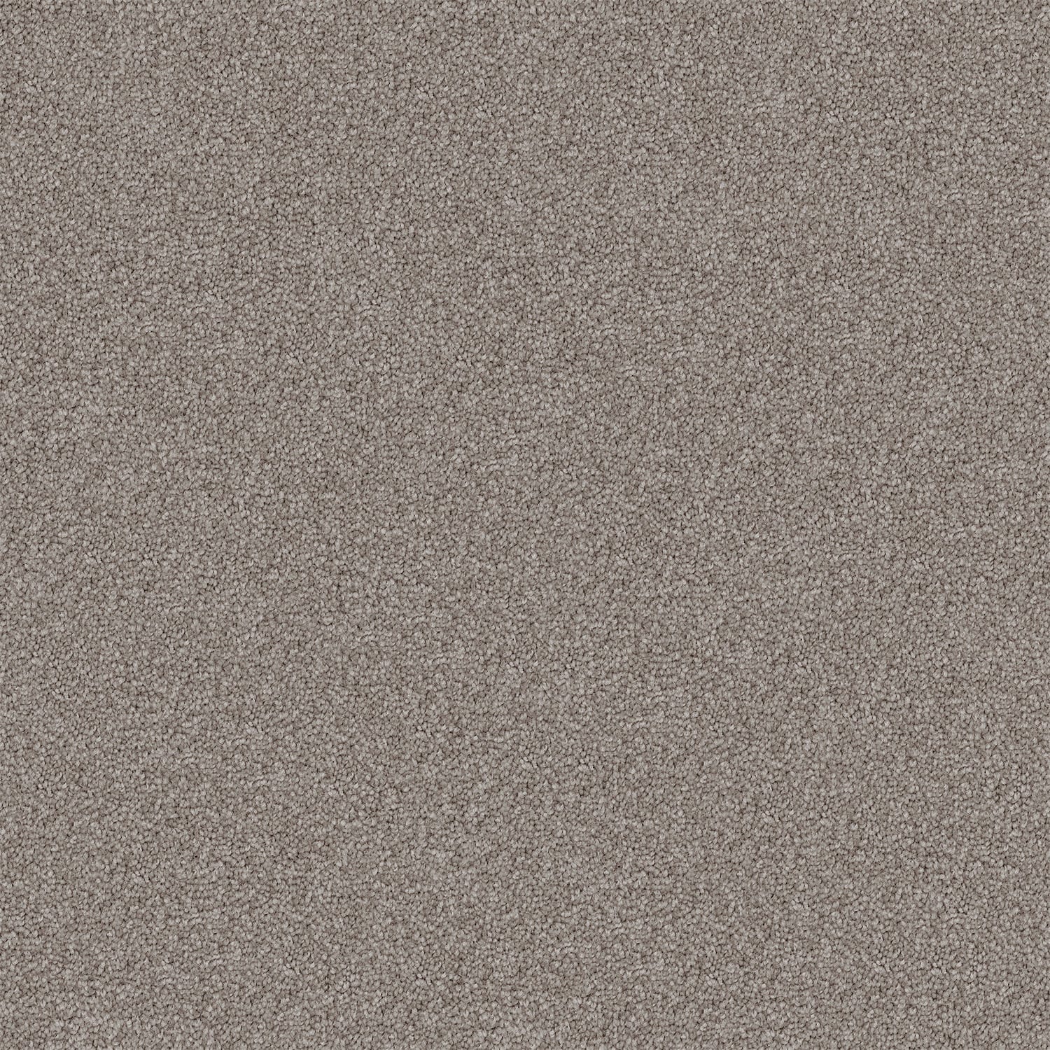 Endless Charm carpet in Studio Stipple