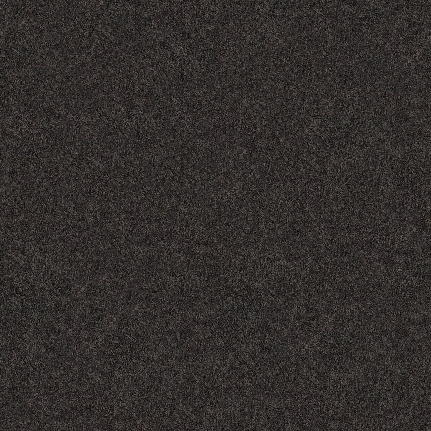 Tivoli carpet in Espresso
