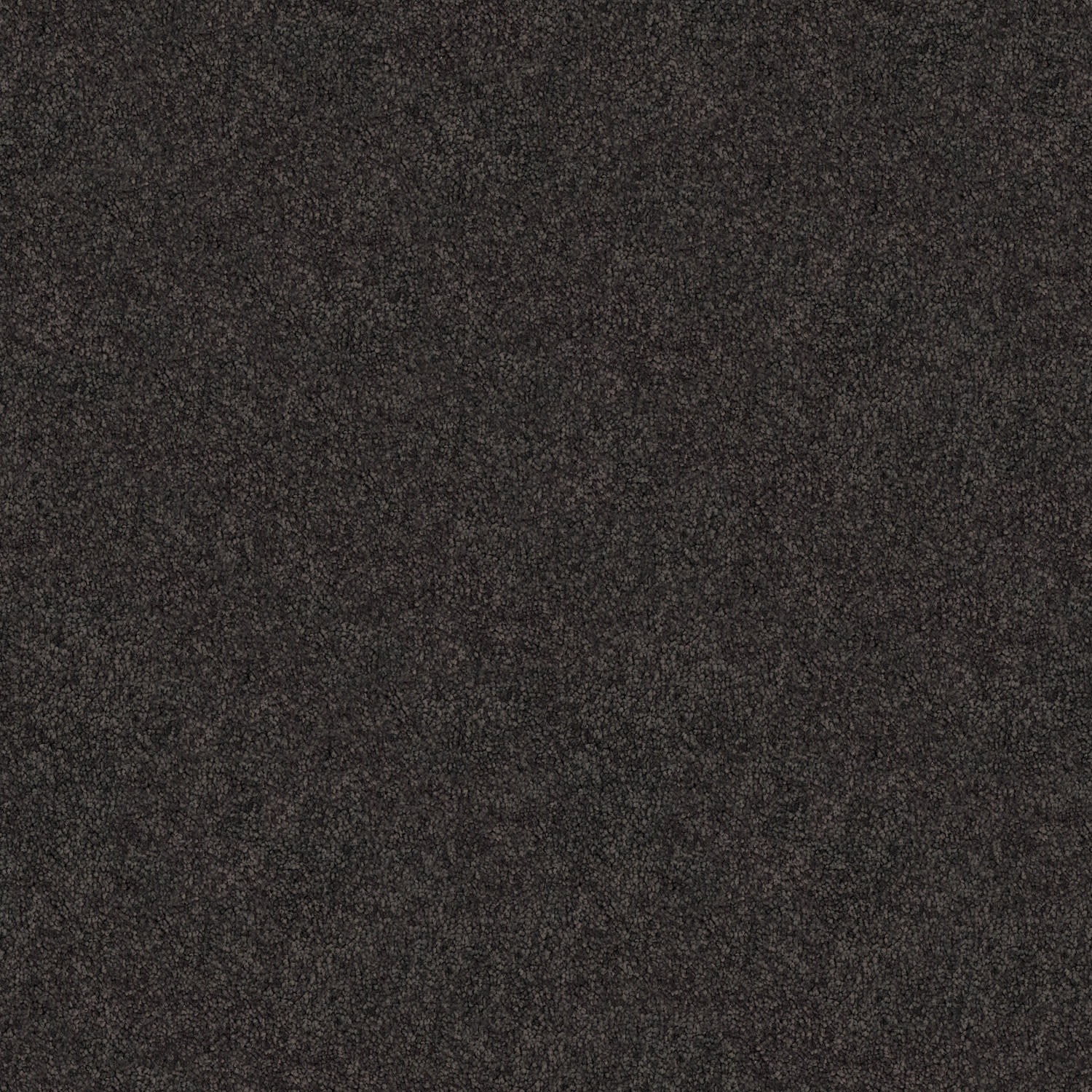 Tivoli carpet in Espresso
