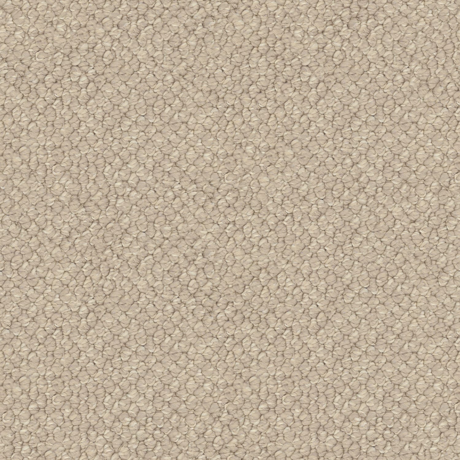 Finesse carpet in Poise