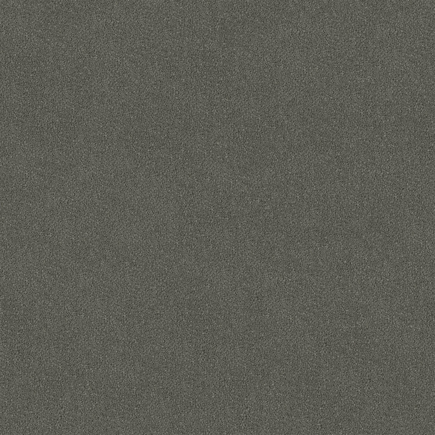 Knights Ridge carpet in Galahad