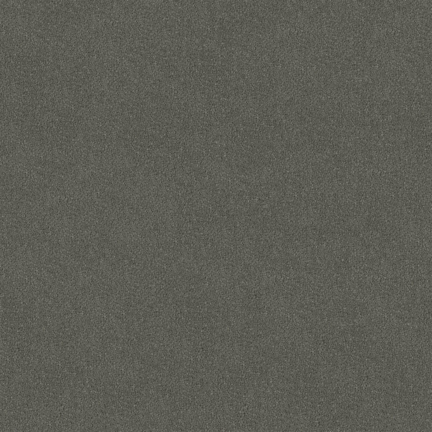 Knights Ridge carpet in Galahad