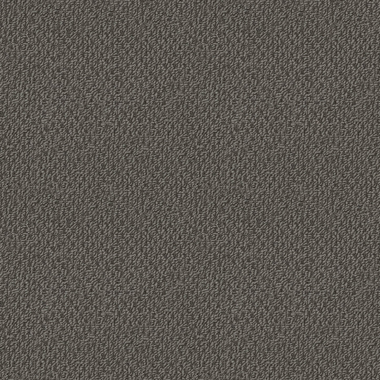 Phoenix carpet in Maryvale