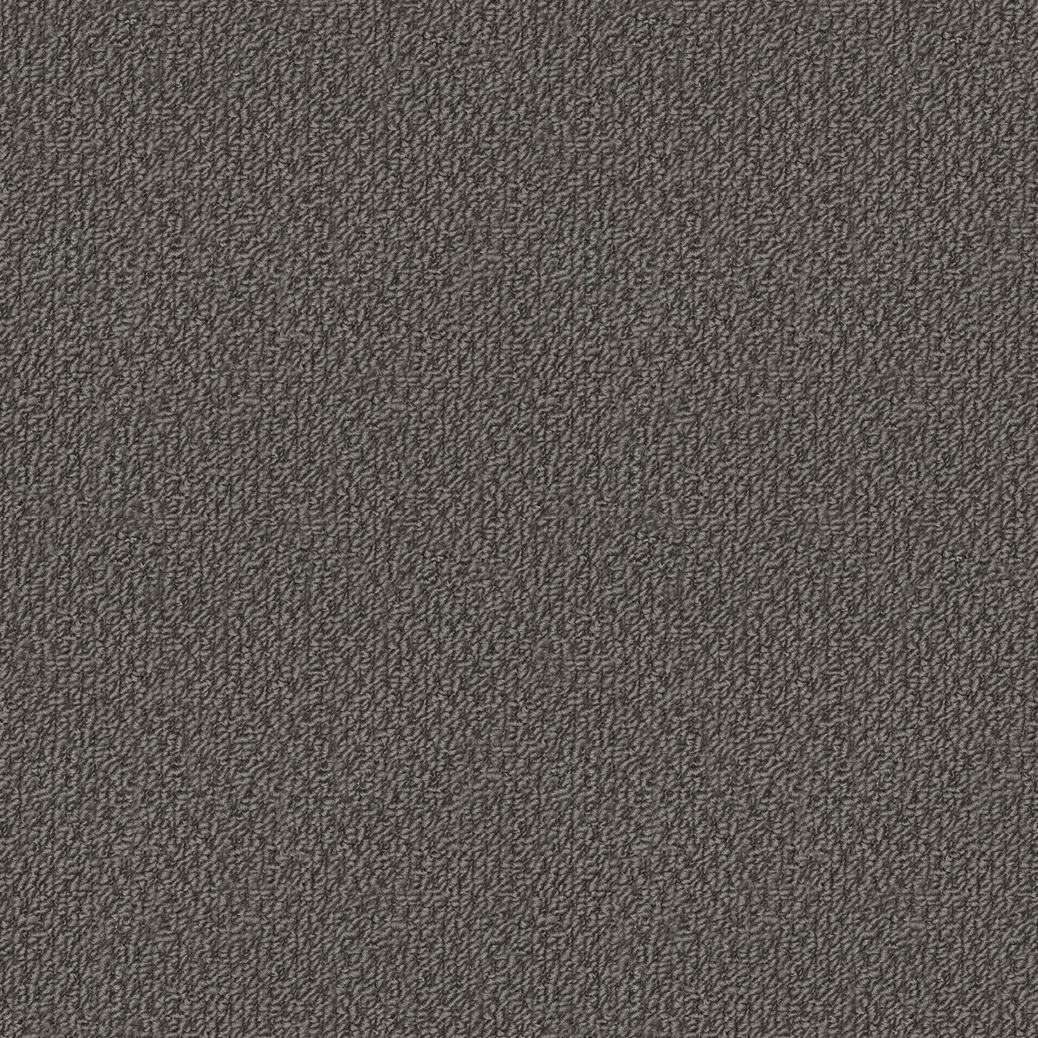 Phoenix carpet in Maryvale