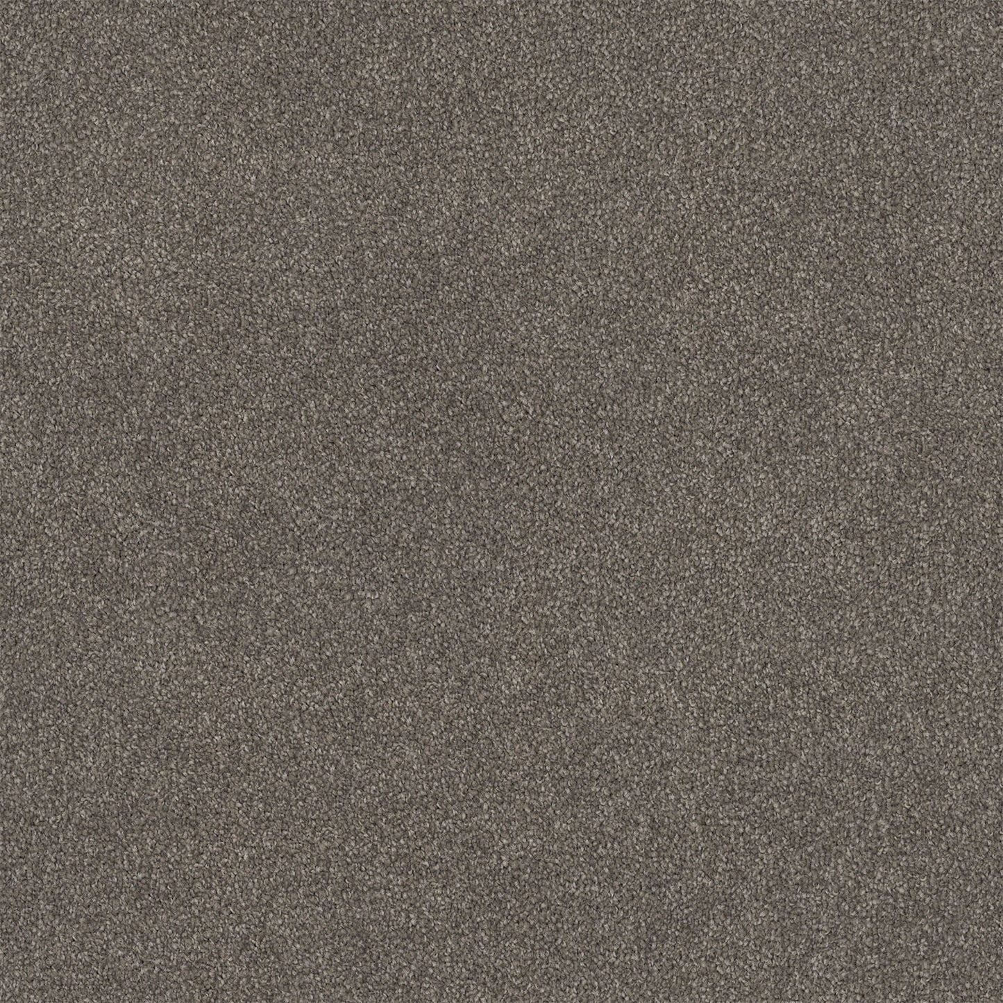 Lasting Touch carpet in Fudge