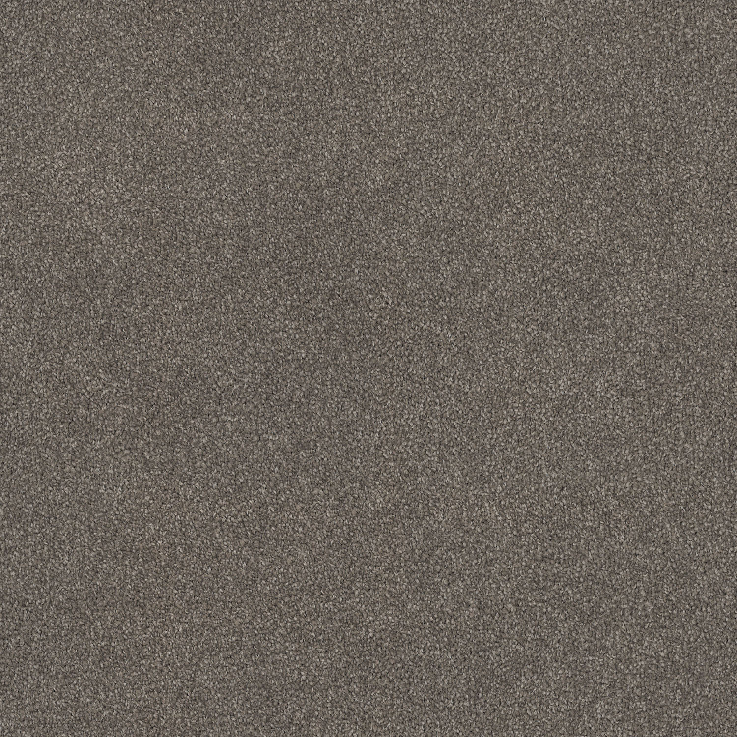 Lasting Touch carpet in Fudge