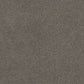 Lasting Touch carpet in Fudge