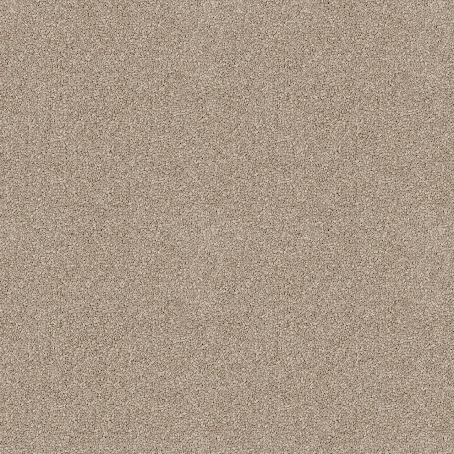 Crestview carpet in Limestone