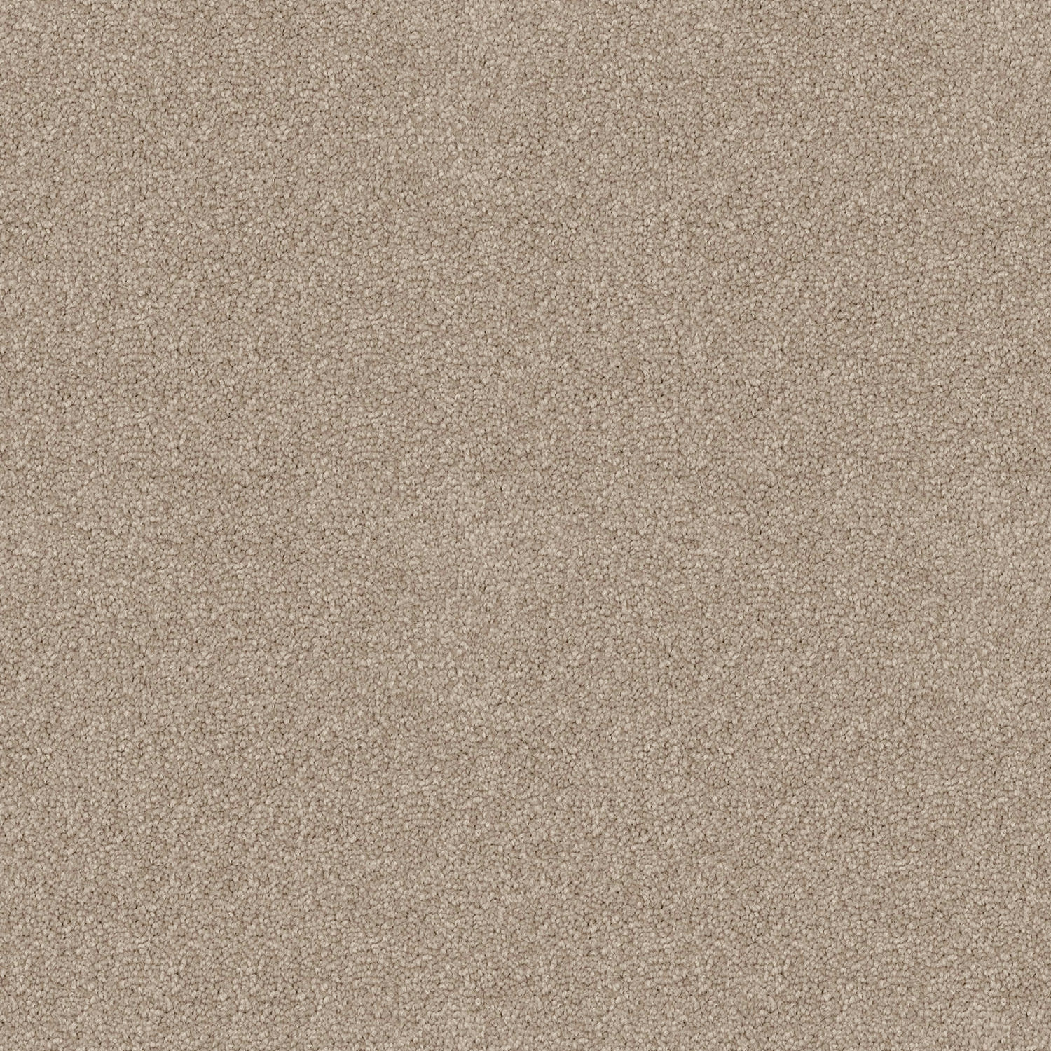 Crestview carpet in Limestone