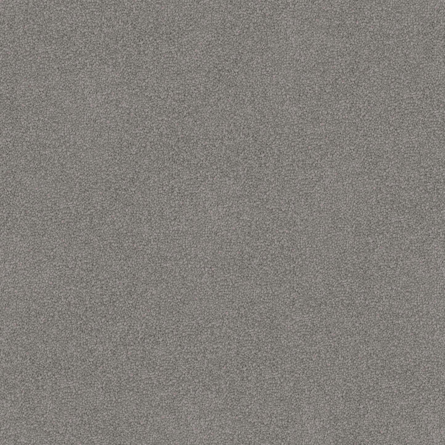 Entertaining carpet in Fieldstone