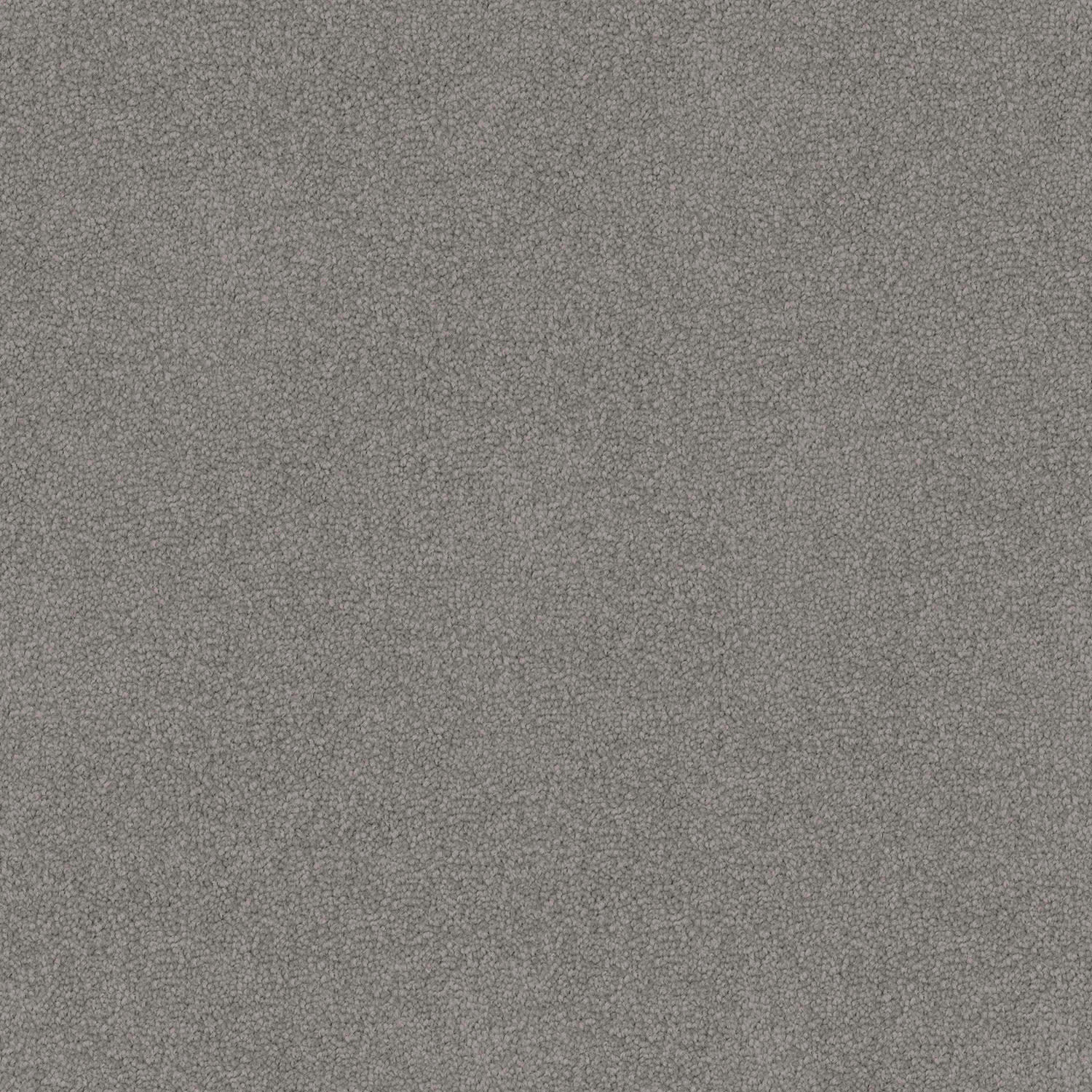 Entertaining carpet in Fieldstone