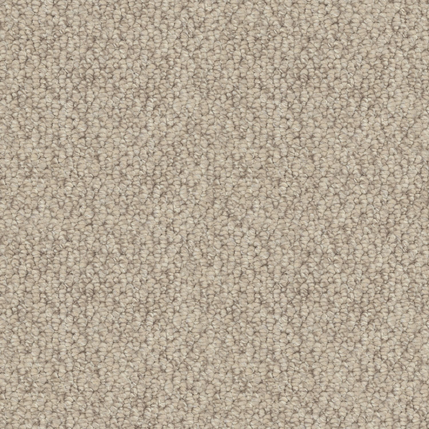Cedarfield carpet in Balboa Mist