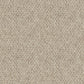 Cedarfield carpet in Balboa Mist