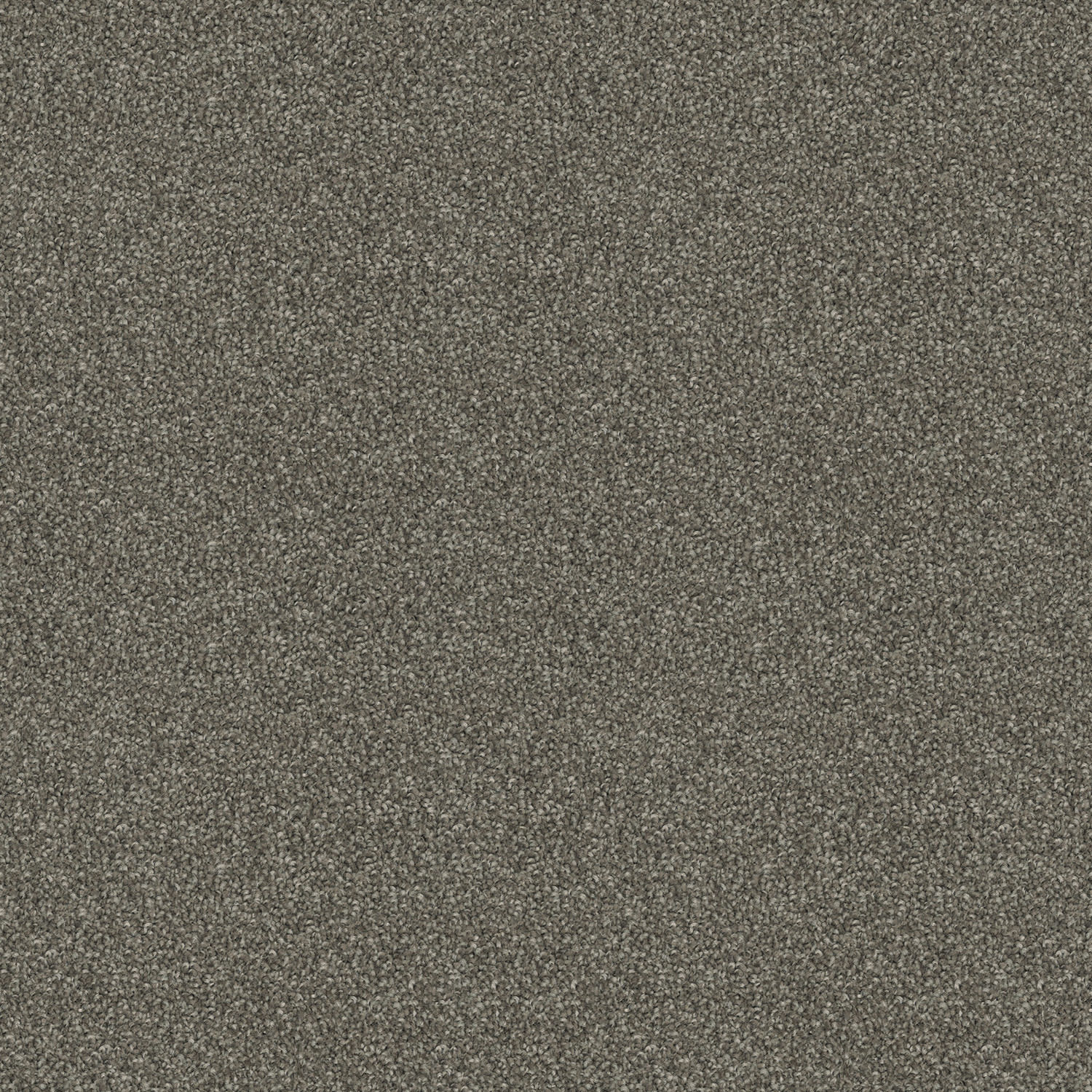 Crestview carpet in Granite