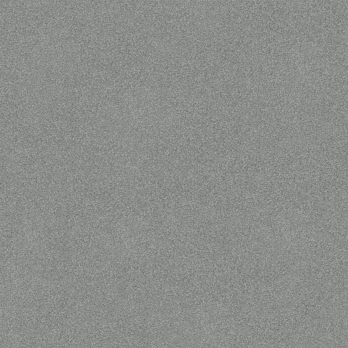 Nightfall carpet in Silver