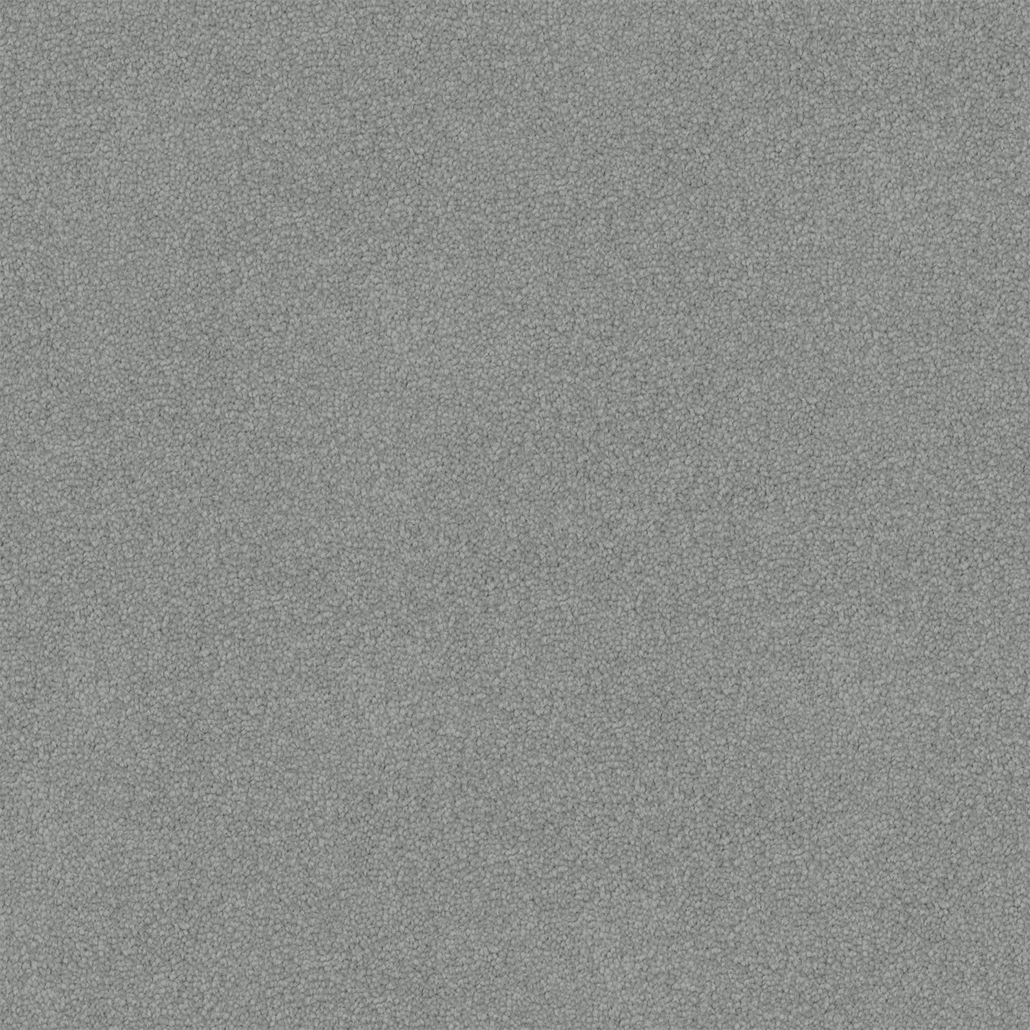 Nightfall carpet in Silver