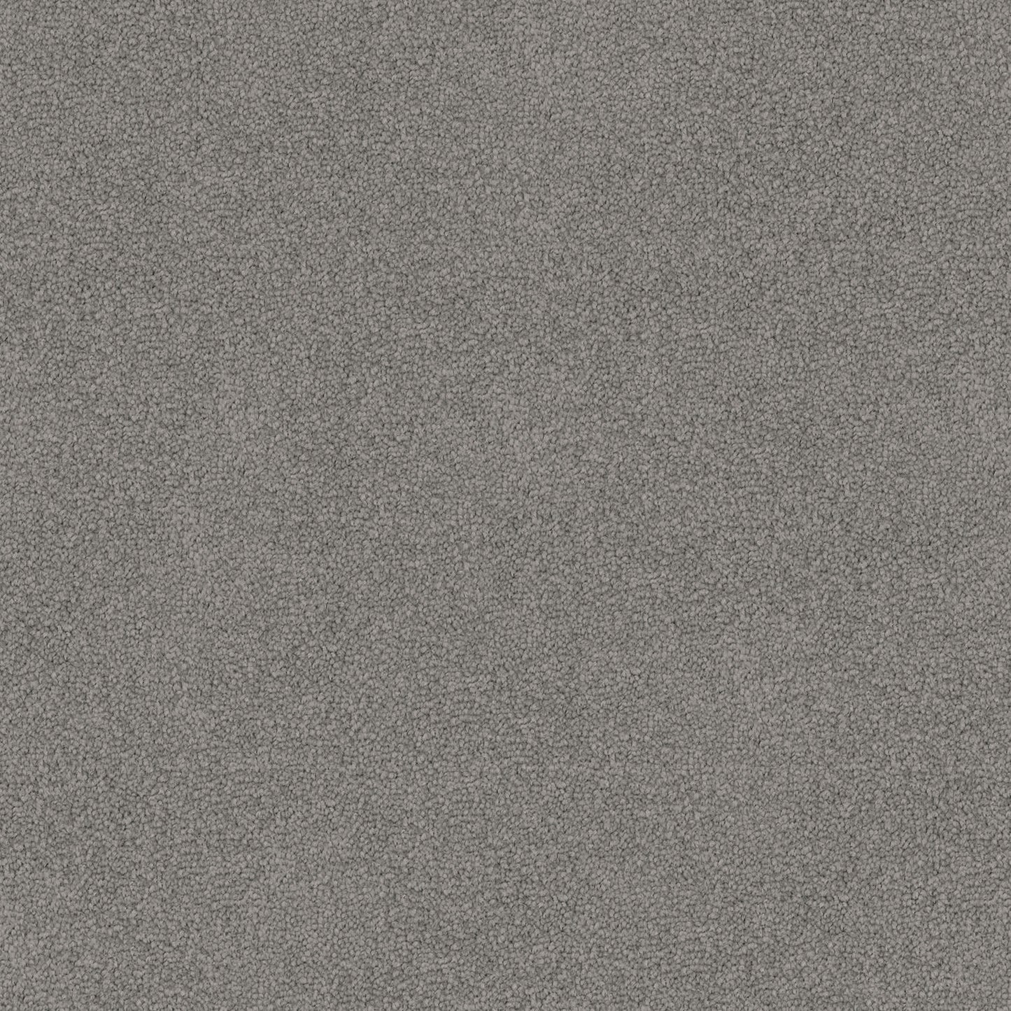 Dawn Rise carpet in Grey Mood