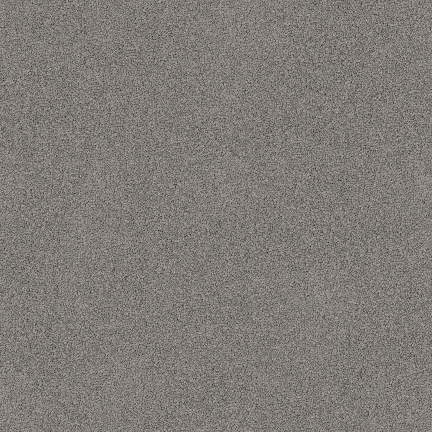 Dawn Rise carpet in Grey Mood