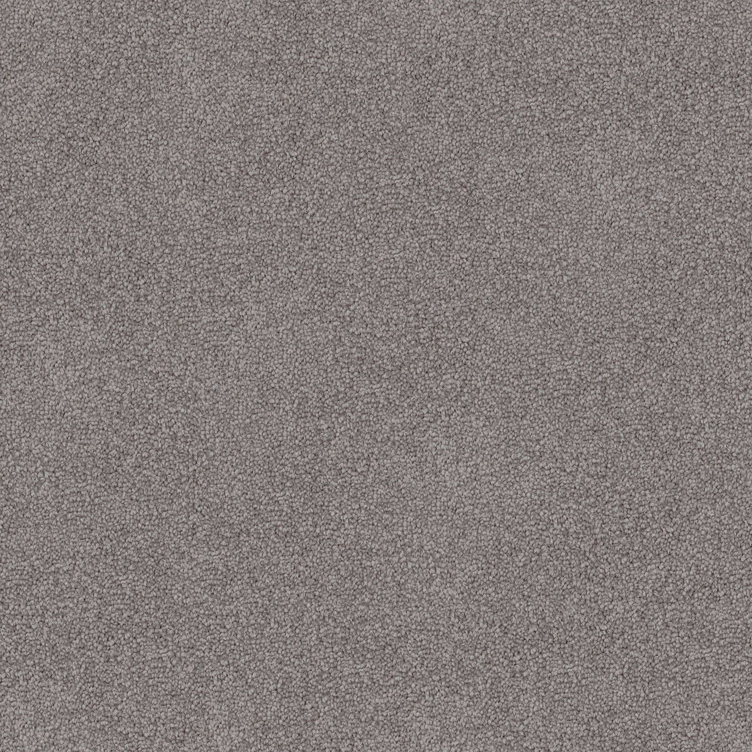 Mountain Chalet carpet in Frosted Pine