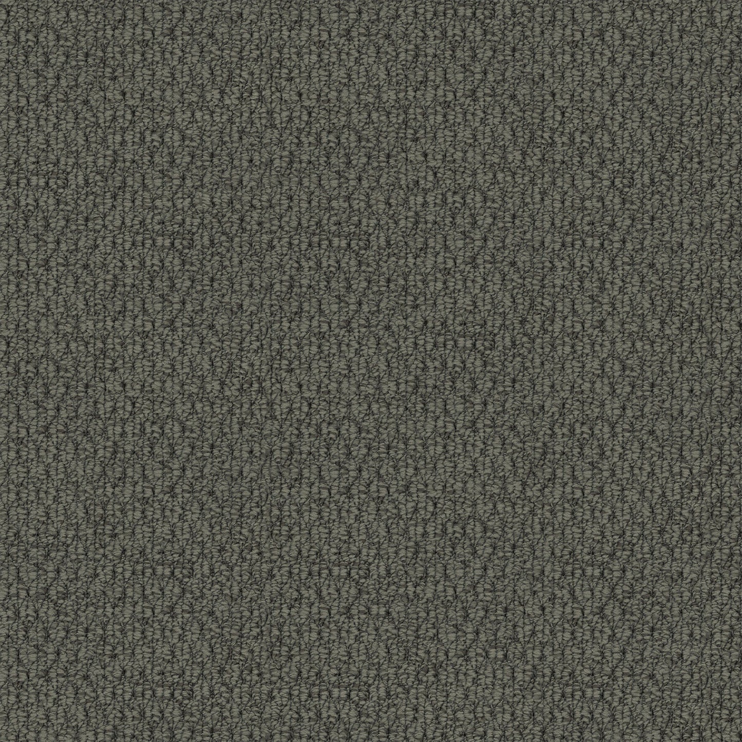 Kashmir carpet in Grey Horizon