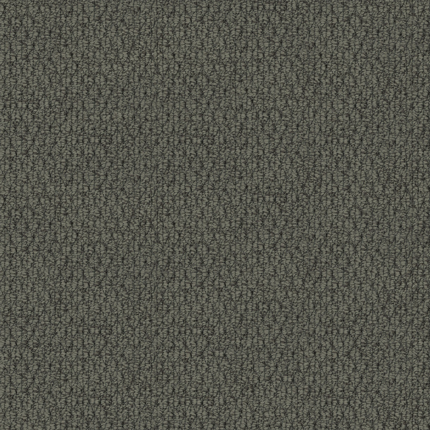 Kashmir carpet in Grey Horizon