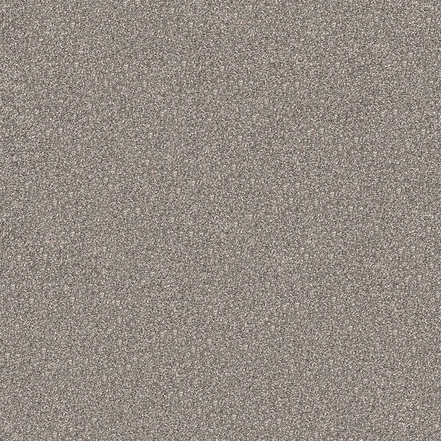 Regal Elegance carpet in Ironbark