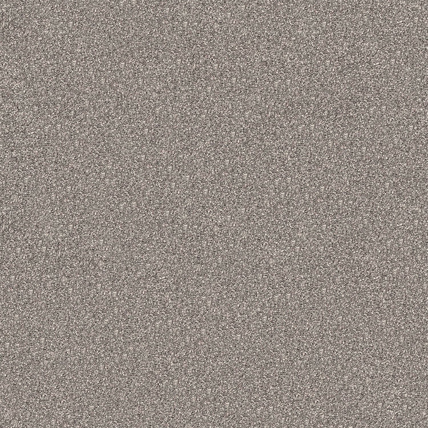 Regal Elegance carpet in Ironbark