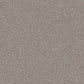 Regal Elegance carpet in Ironbark