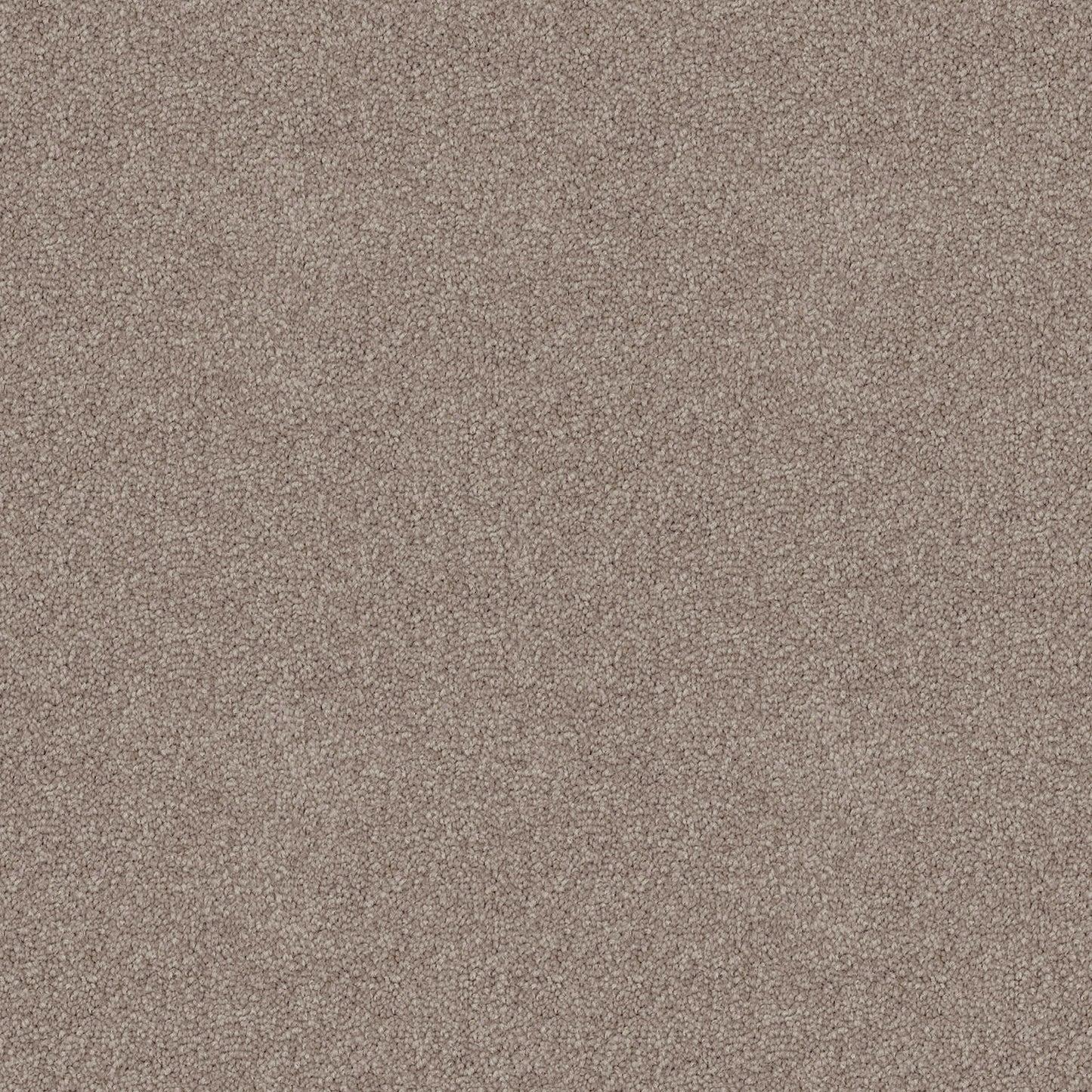 Skyway carpet in Desire