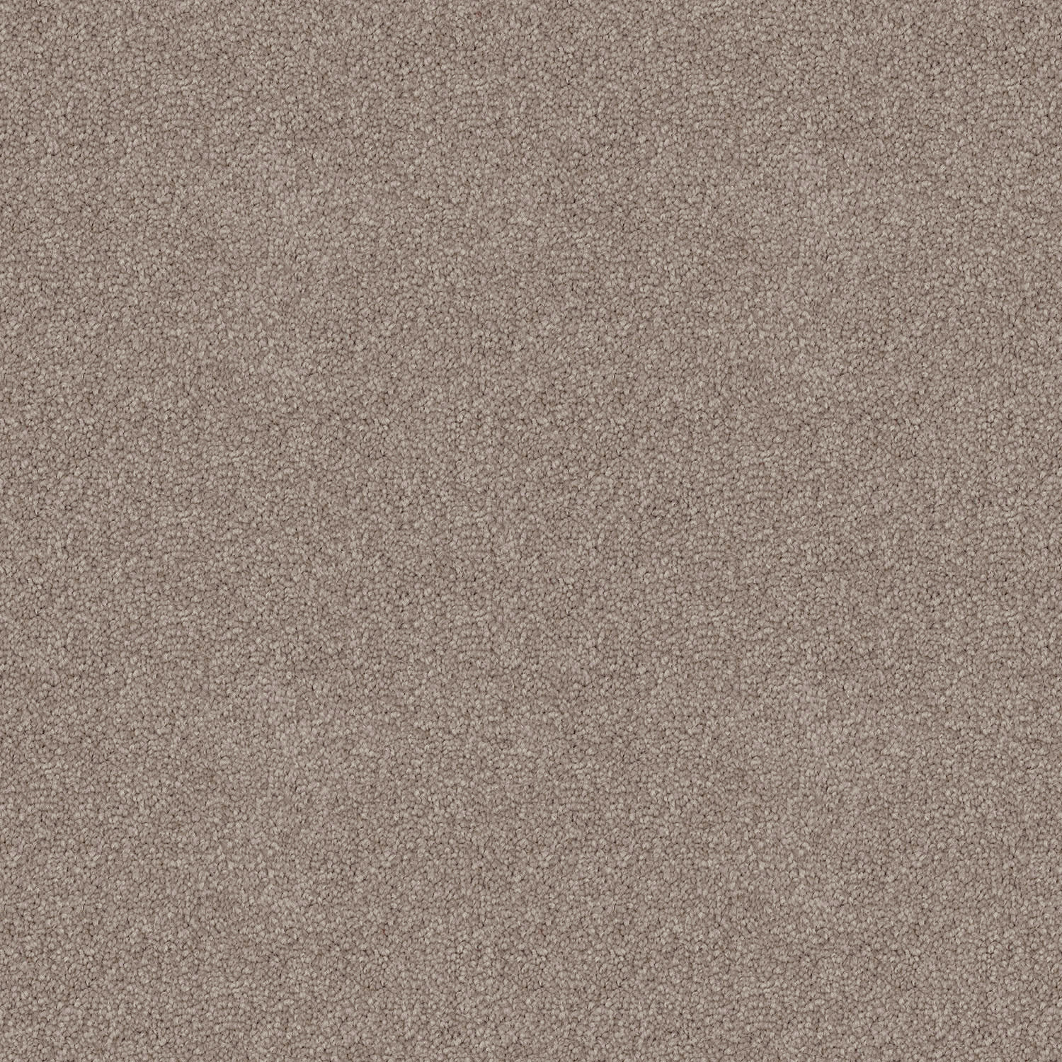 Skyway carpet in Desire
