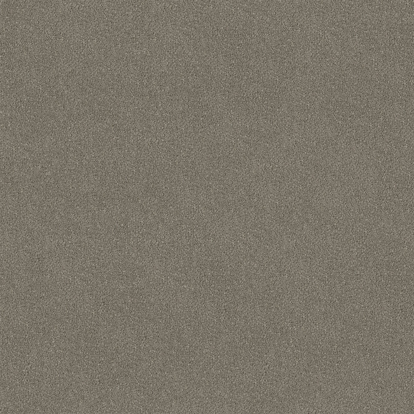 Knights Ridge carpet in Tristan
