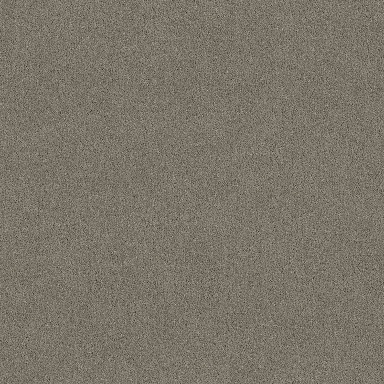 Knights Ridge carpet in Tristan
