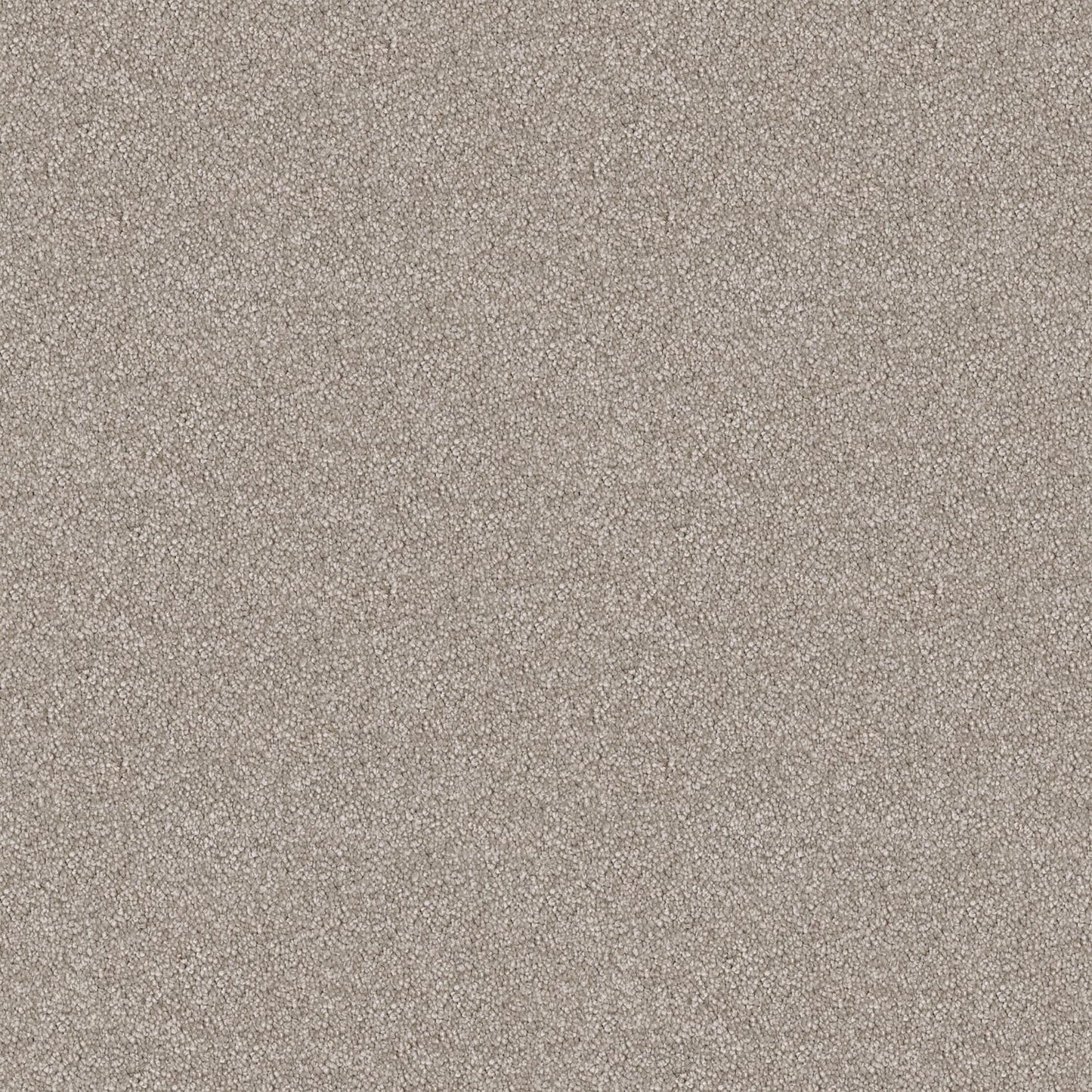 Velura carpet in Honey Beige