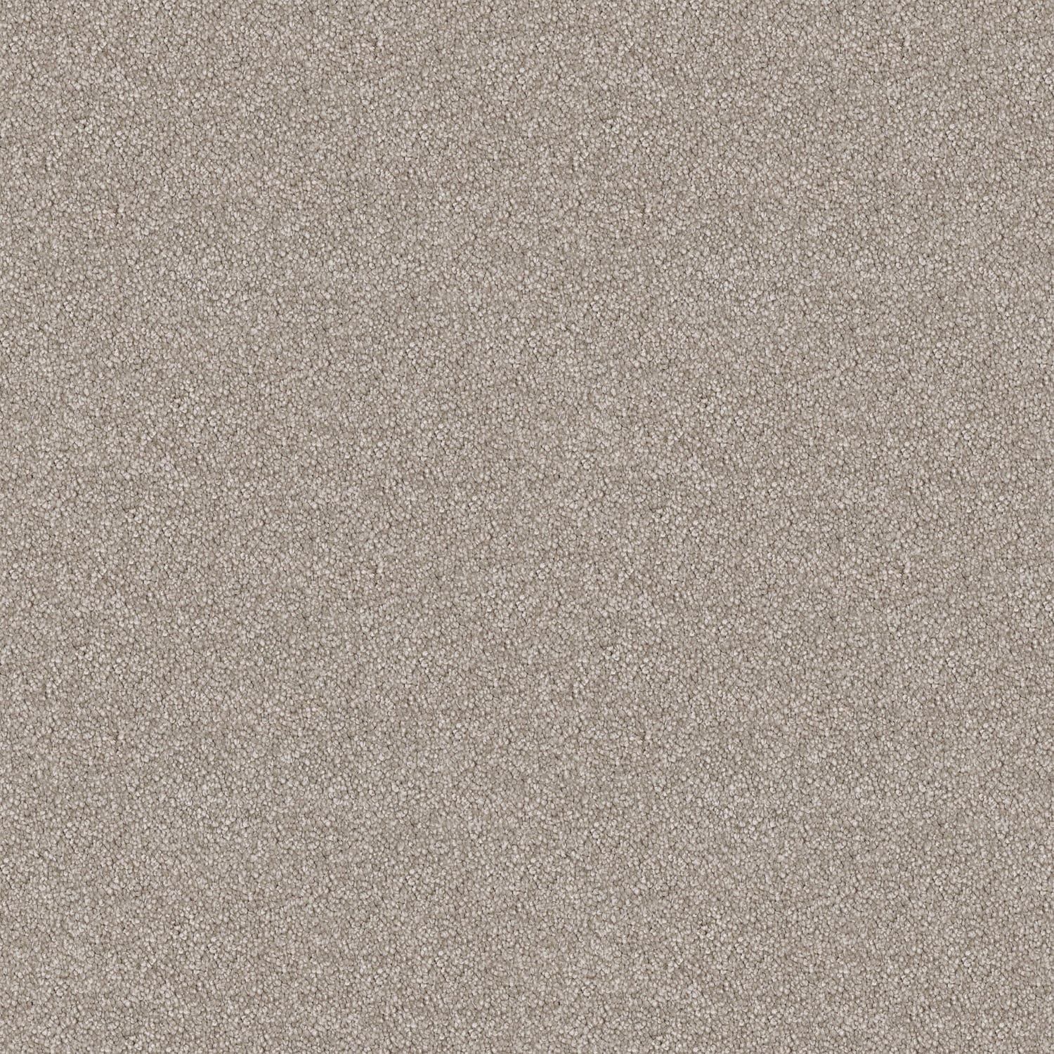 Velura carpet in Honey Beige