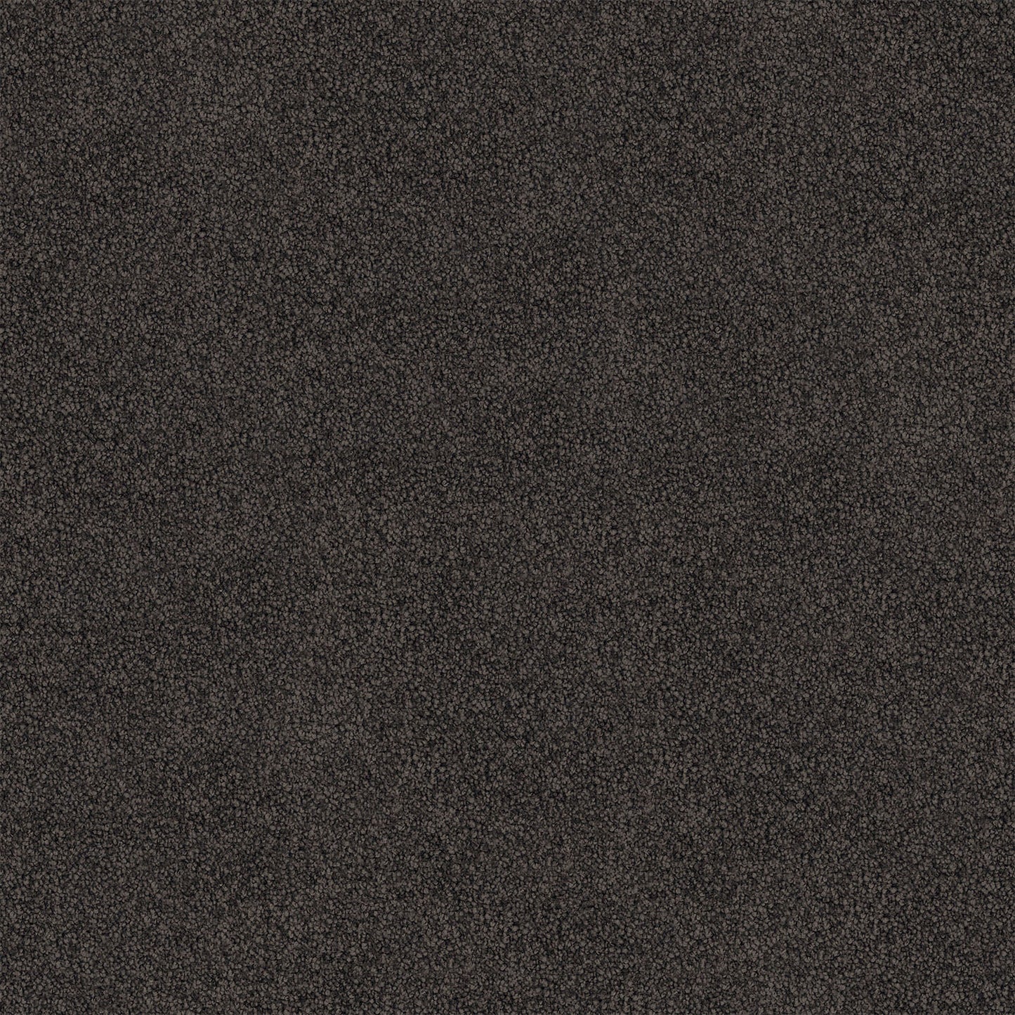 Barossa carpet in Midnight